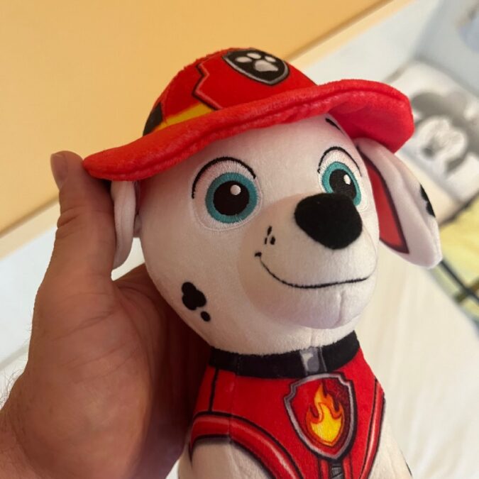 Die besten PAW Patrol Kuscheltiere im Test - © dadslife.de