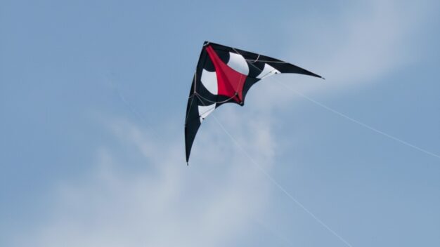 Die besten Lenkdrachen für Kinder im Test – © dadslife.de/Gemini