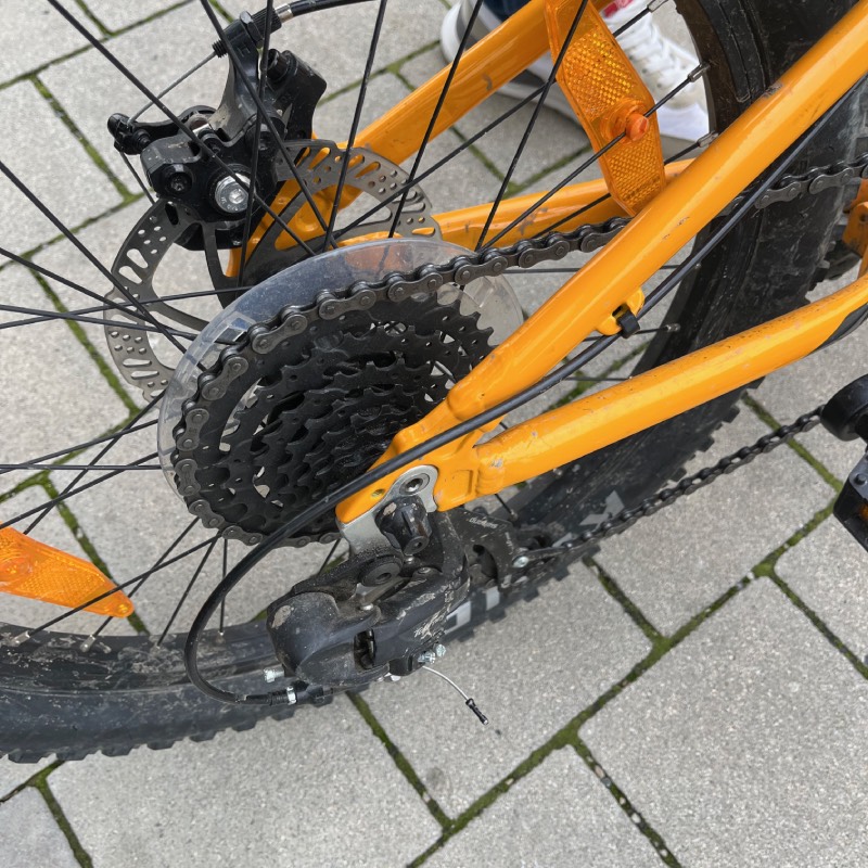 Bestes 20 Zoll Kinderfahrrad