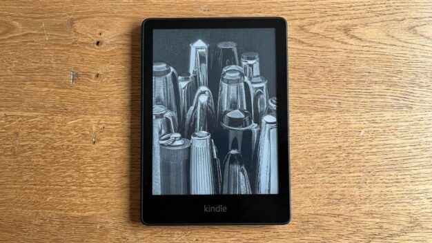 Die besten eBook-Reader: Kindle, Kobo und PocketBook im Vergleich - © dadslife.de